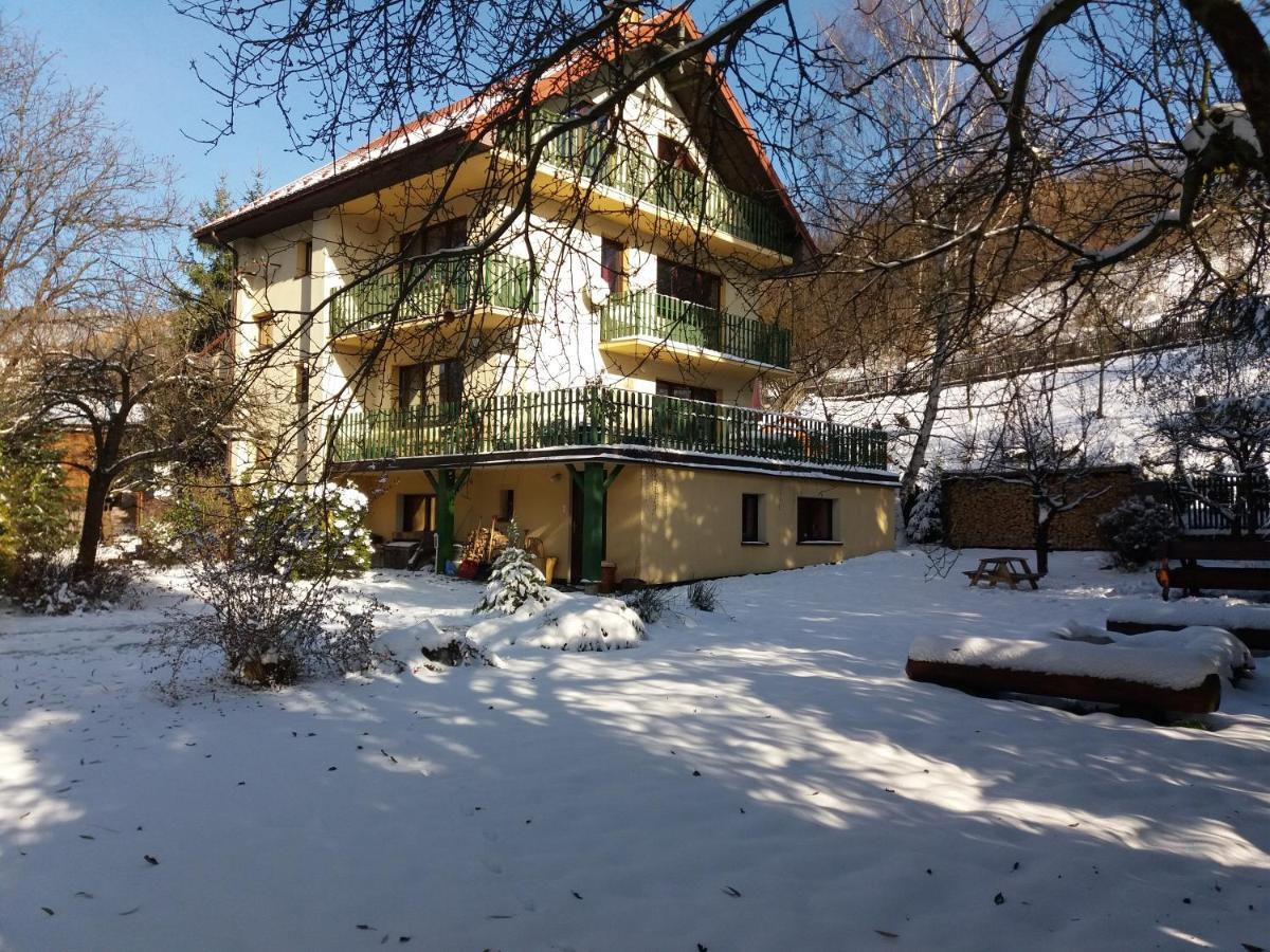 Willa Mirabelka Piwniczna-Zdroj Exterior foto